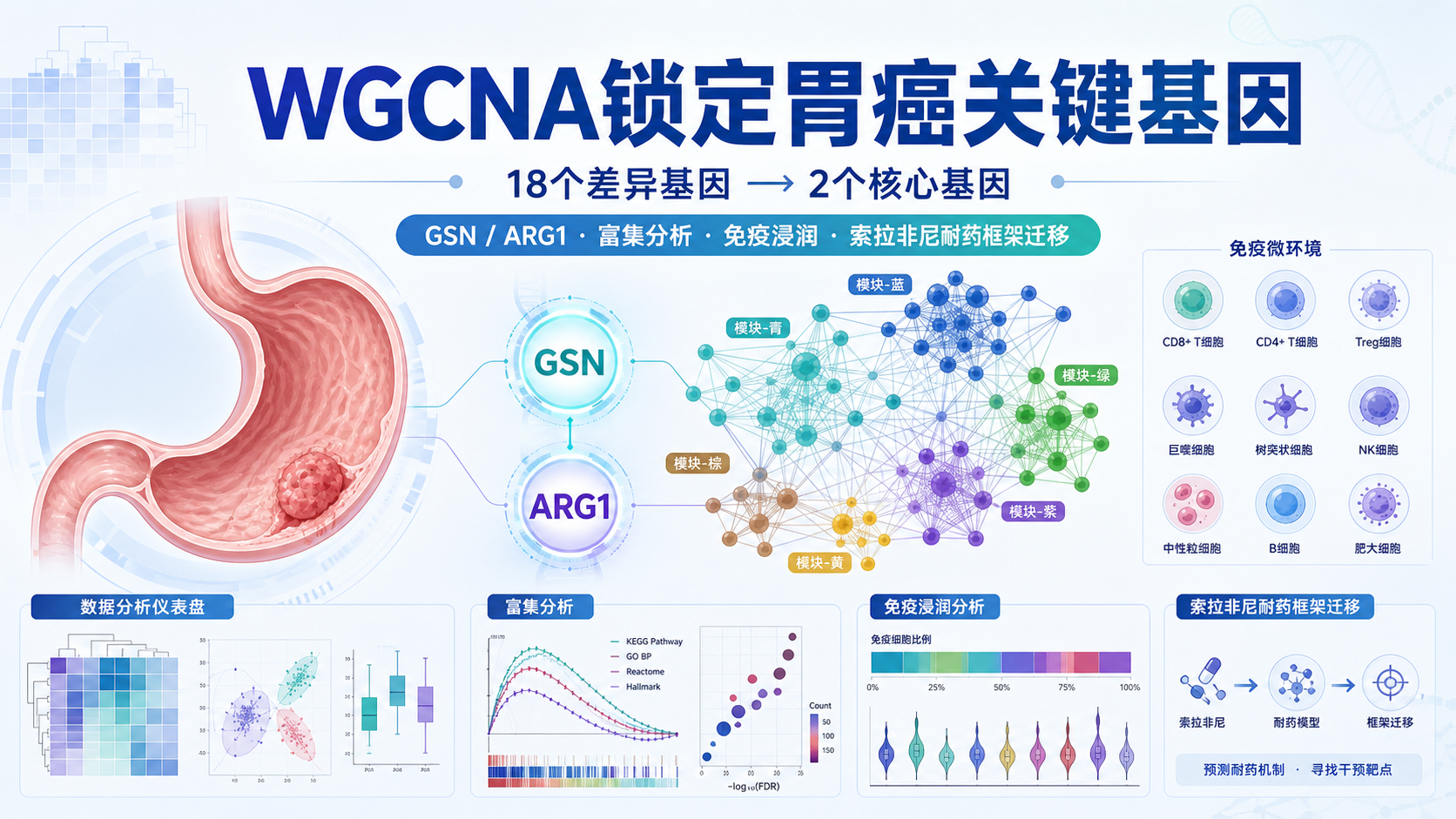 基于WGCNA的胃癌免疫微环境与基质硬度基因鉴定
