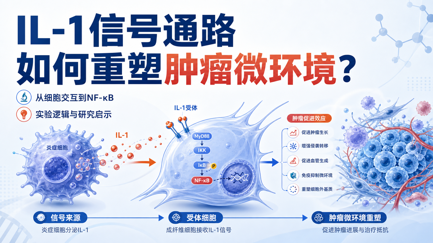 破解IL-1信号通路在肿瘤微环境中的新角色
