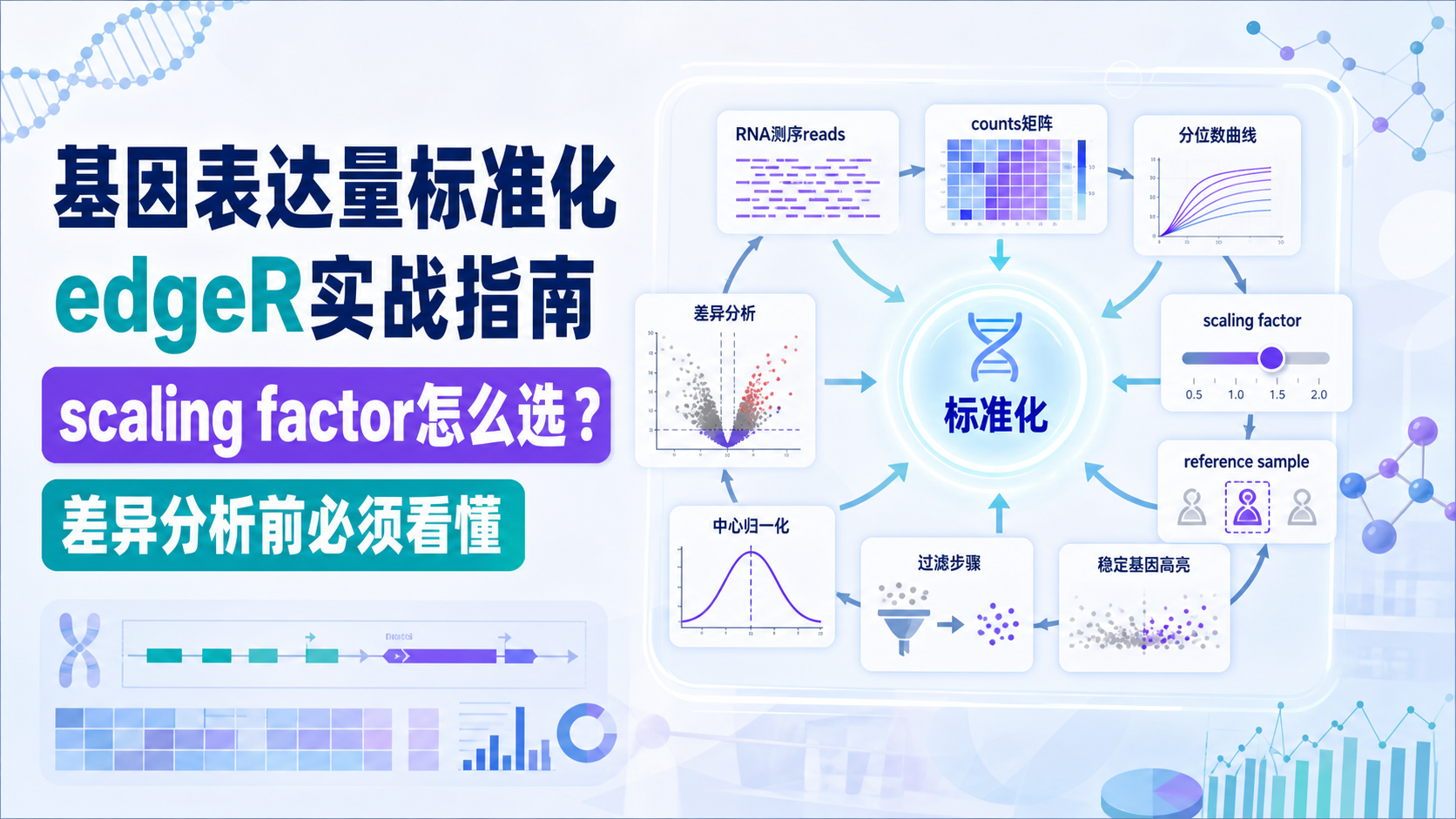 基因表达量标准化常用策略与注意事项