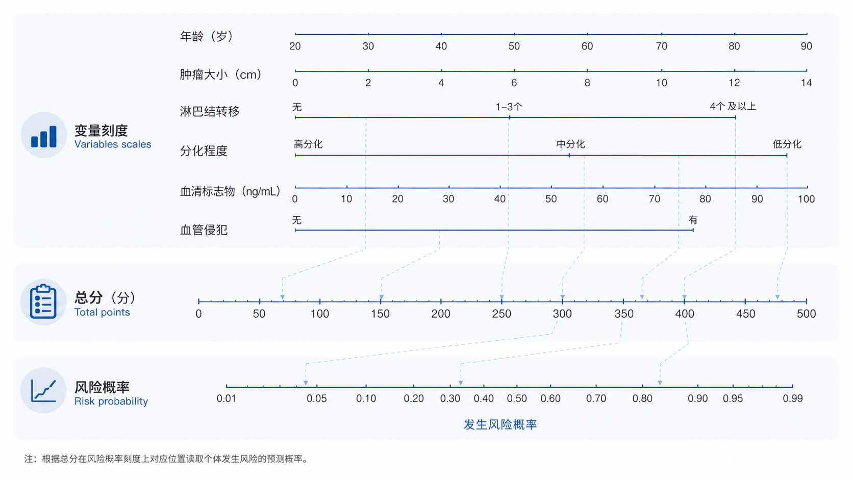 医学科研场景中的列线图示意图，包含变量刻度、总分和风险概率三部分，风格简洁专业