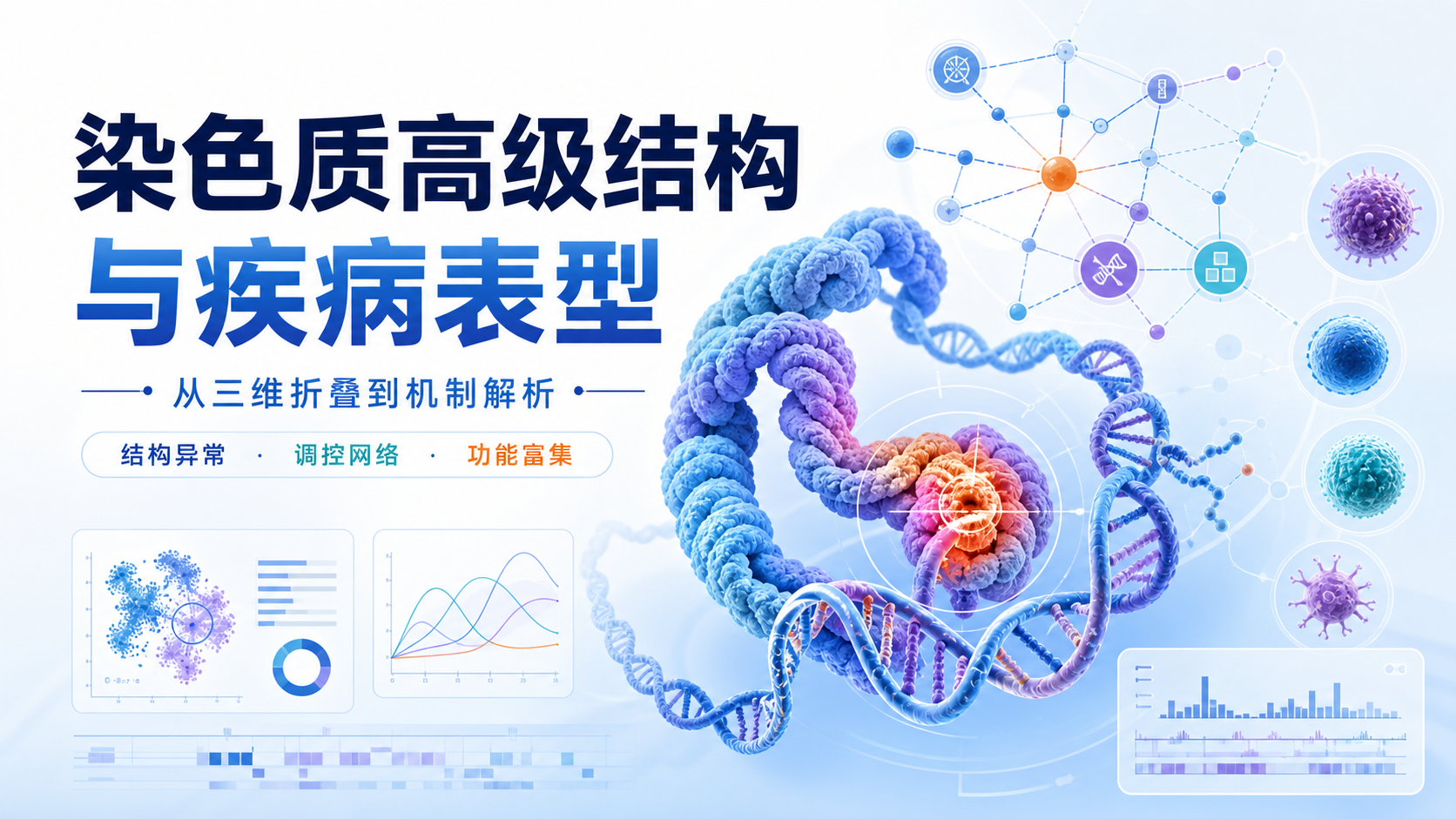 病理性染色质折叠与基因调控网络解析
