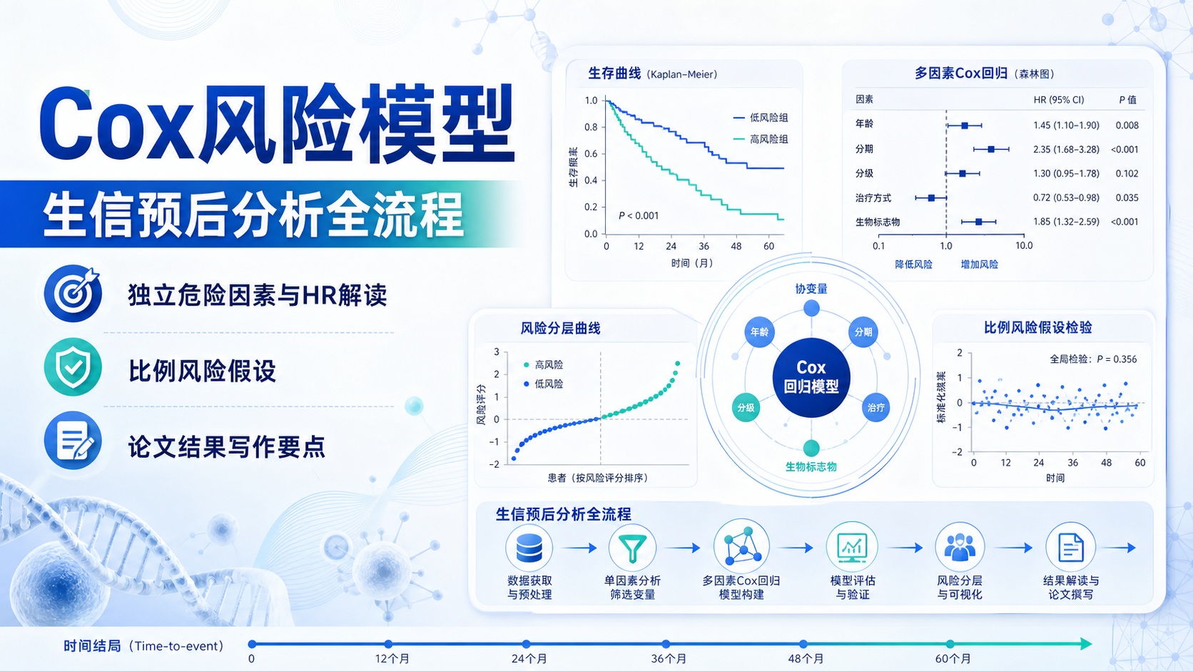 Cox风险模型赋能生信：临床预后分析新范式