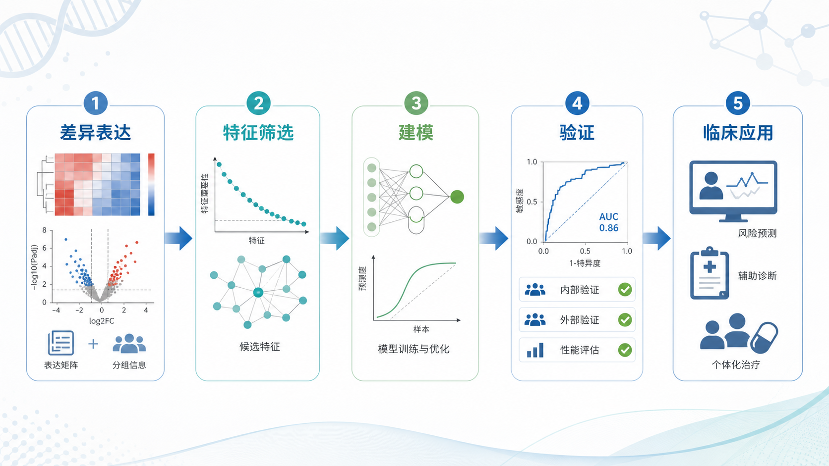 一张生信分析流程图,包含差异表达、特征筛选、建模、验证、临床应用五个环节,整体风格专业简洁。