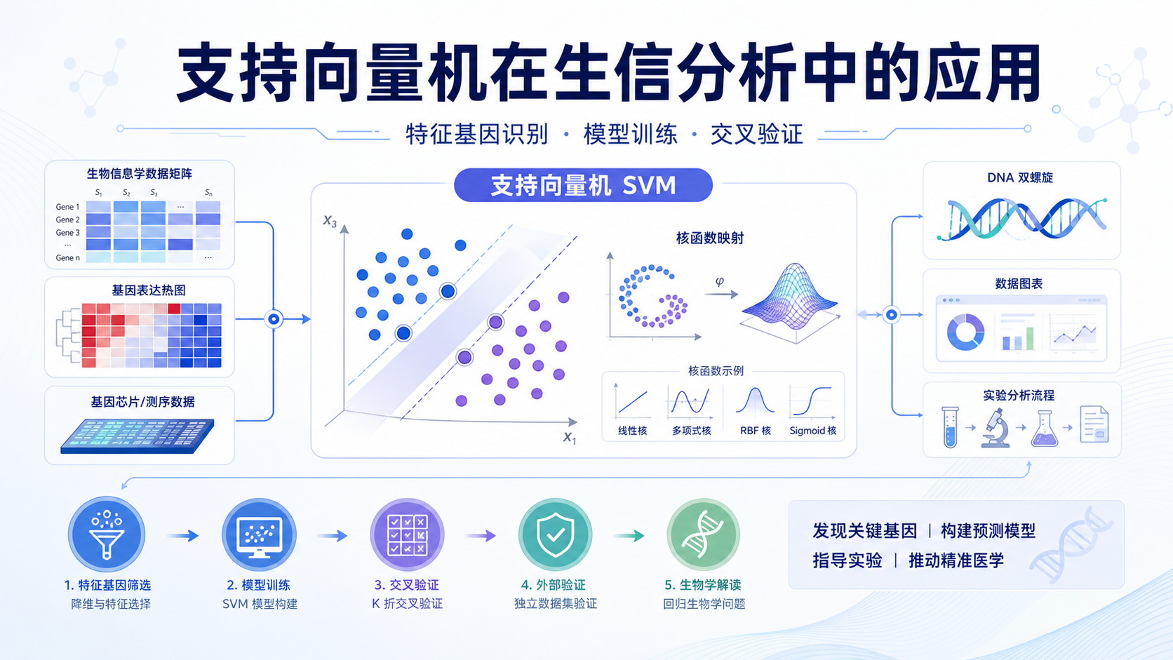生信挖掘:支持向量机驱动的特征基因识别