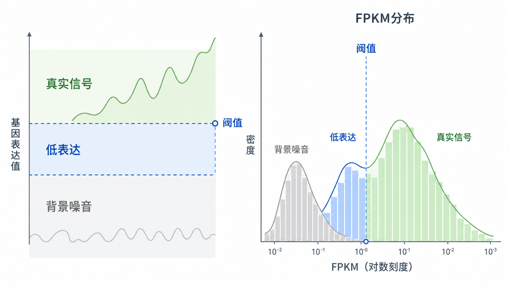 RNA-seq表达阈值设定示意图，展示低表达、背景噪音与真实信号的区分，以及FPKM分布曲线。