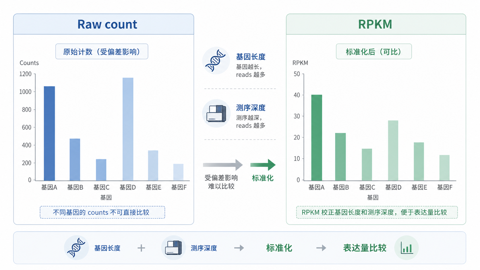 RNA-seq表达量比较示意图,左侧为原始count受基因长度和测序深度影响,右侧为RPKM标准化后可比较的表达矩阵