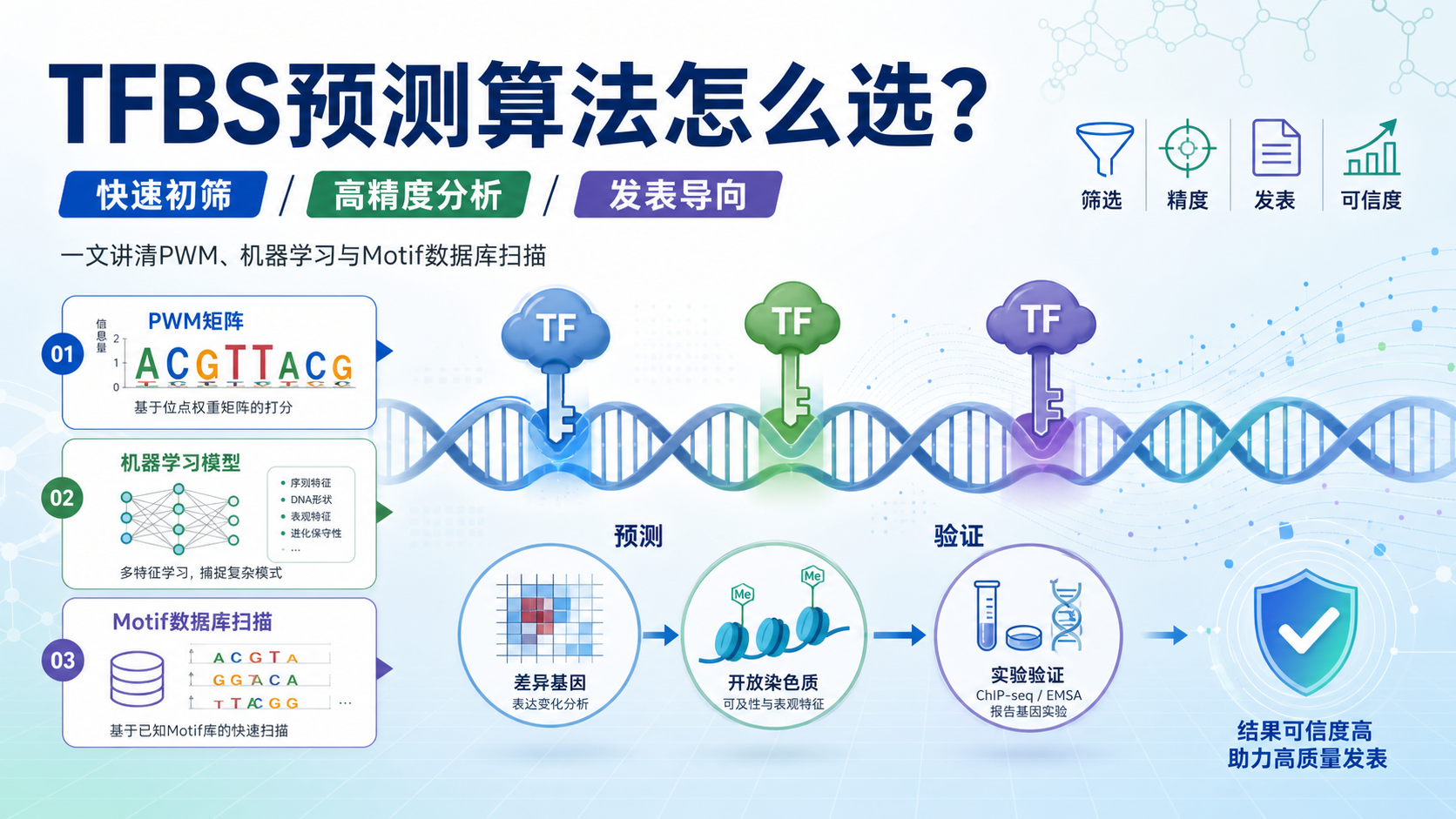 TFBS预测算法大比拼，哪款更适合你的生信课题
