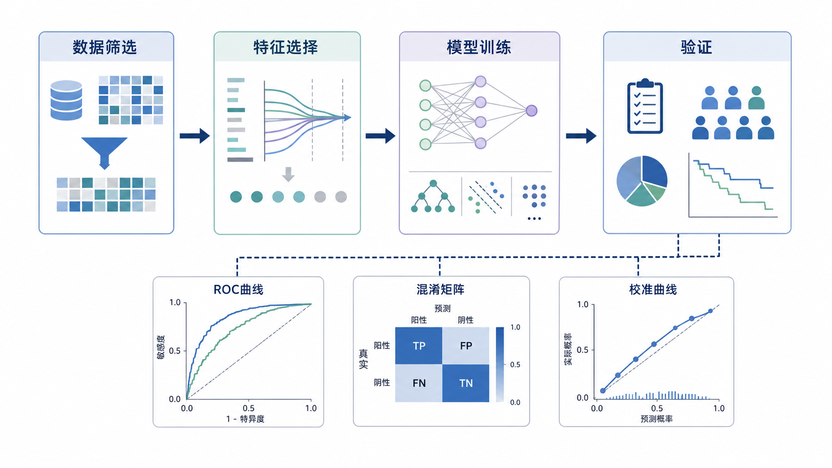 一张生信AI建模流程示意图,包含数据筛选、特征选择、模型训练、验证和三类经典图表展示,风格简洁专业