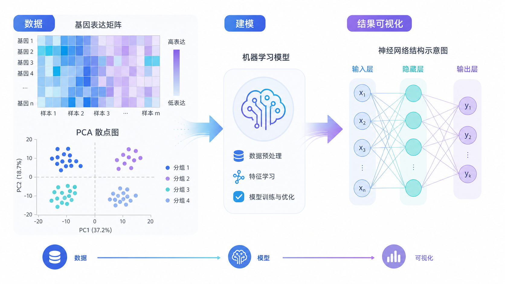 左侧为表达矩阵和PCA散点图,右侧为神经网络结构示意,体现从数据到模型再到可视化的流程