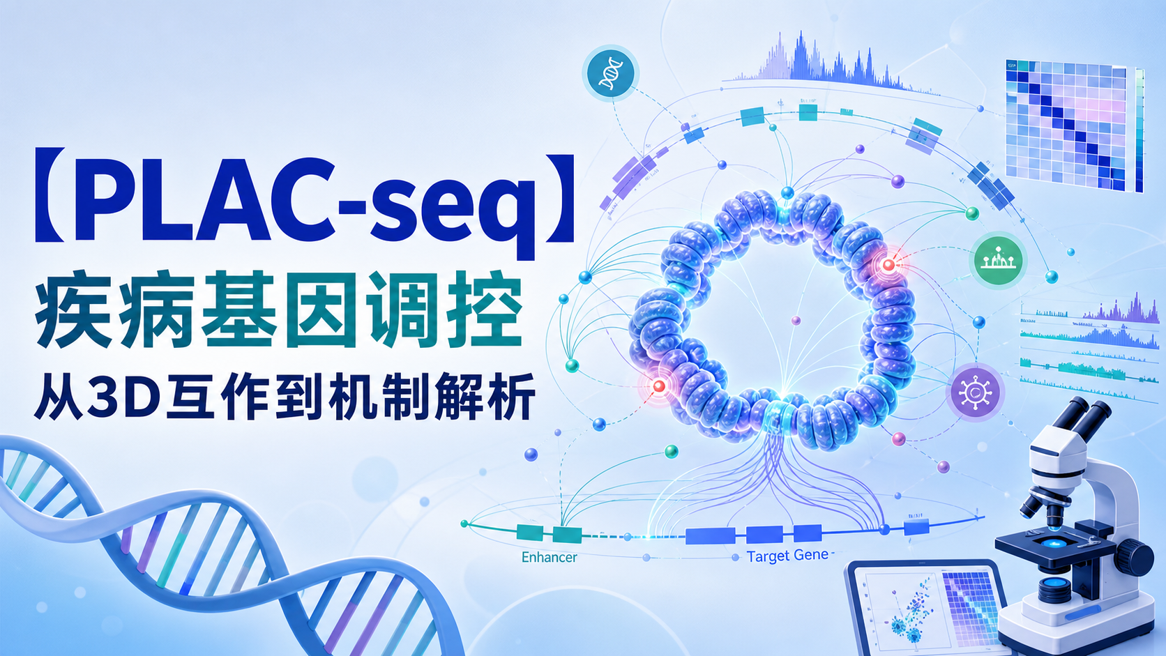 PLAC-seq在疾病基因调控研究中的前沿应用