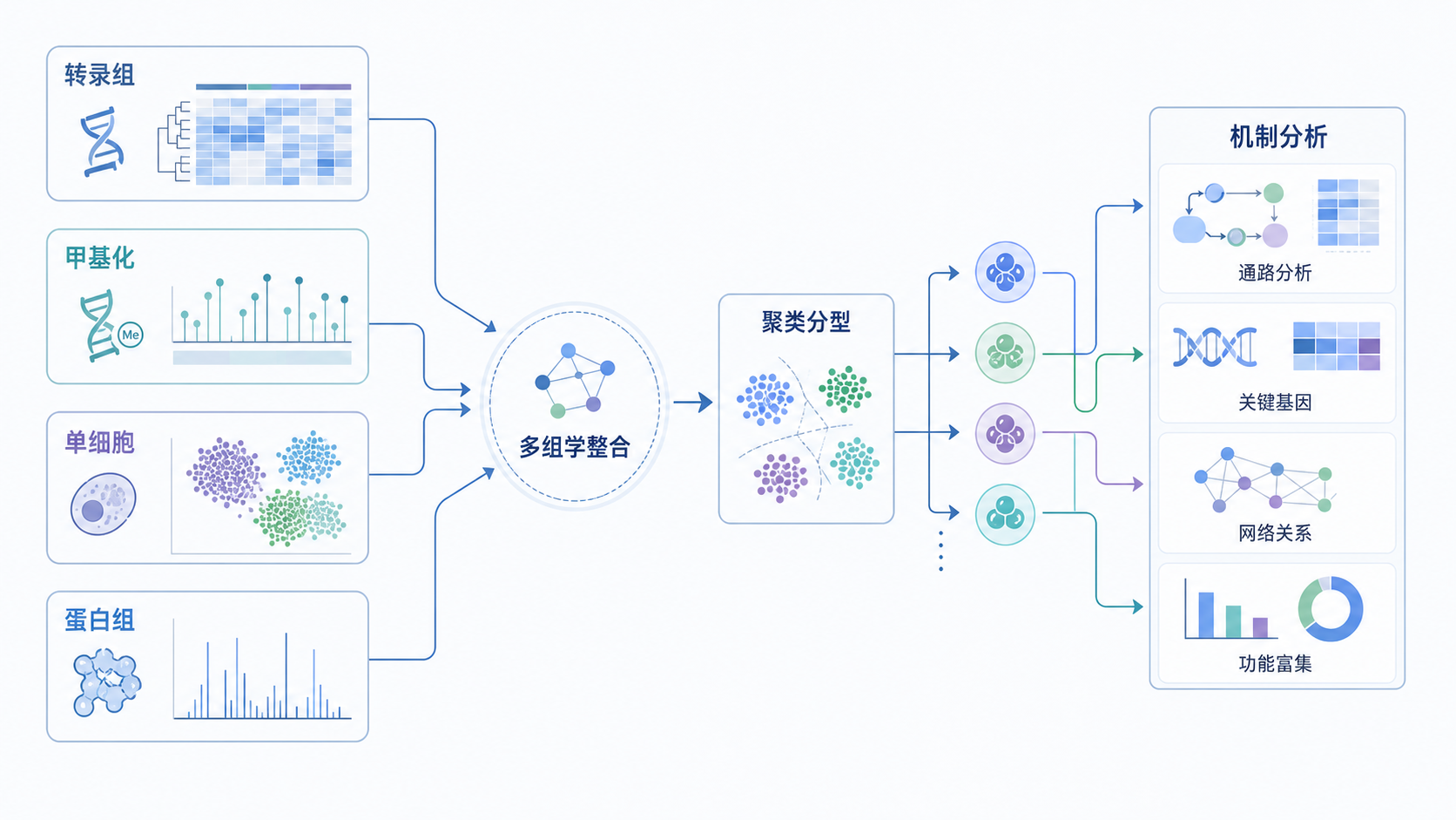 多组学数据整合示意图，展示转录组、甲基化、单细胞、蛋白组等数据流向聚类分型和下游机制分析的流程图