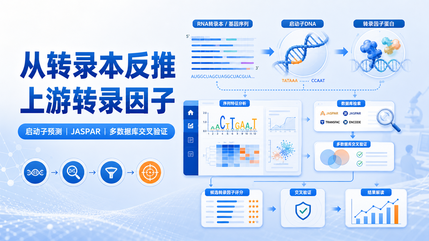 解锁转录本密码:上游转录因子预测的高效方法
