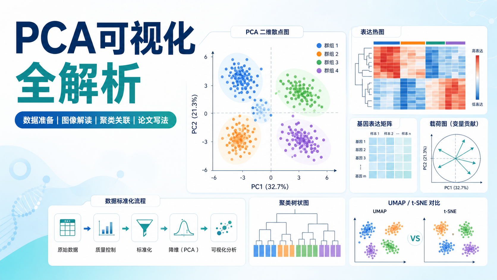 PCA可视化实战：从数据降维到生物学结论的精准提炼