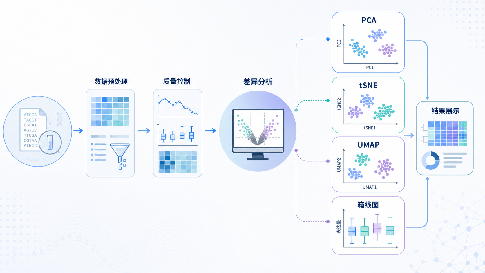 一张生信分析工作流示意图，展示PCA、tSNE、UMAP与箱线图在差异分析中的位置。