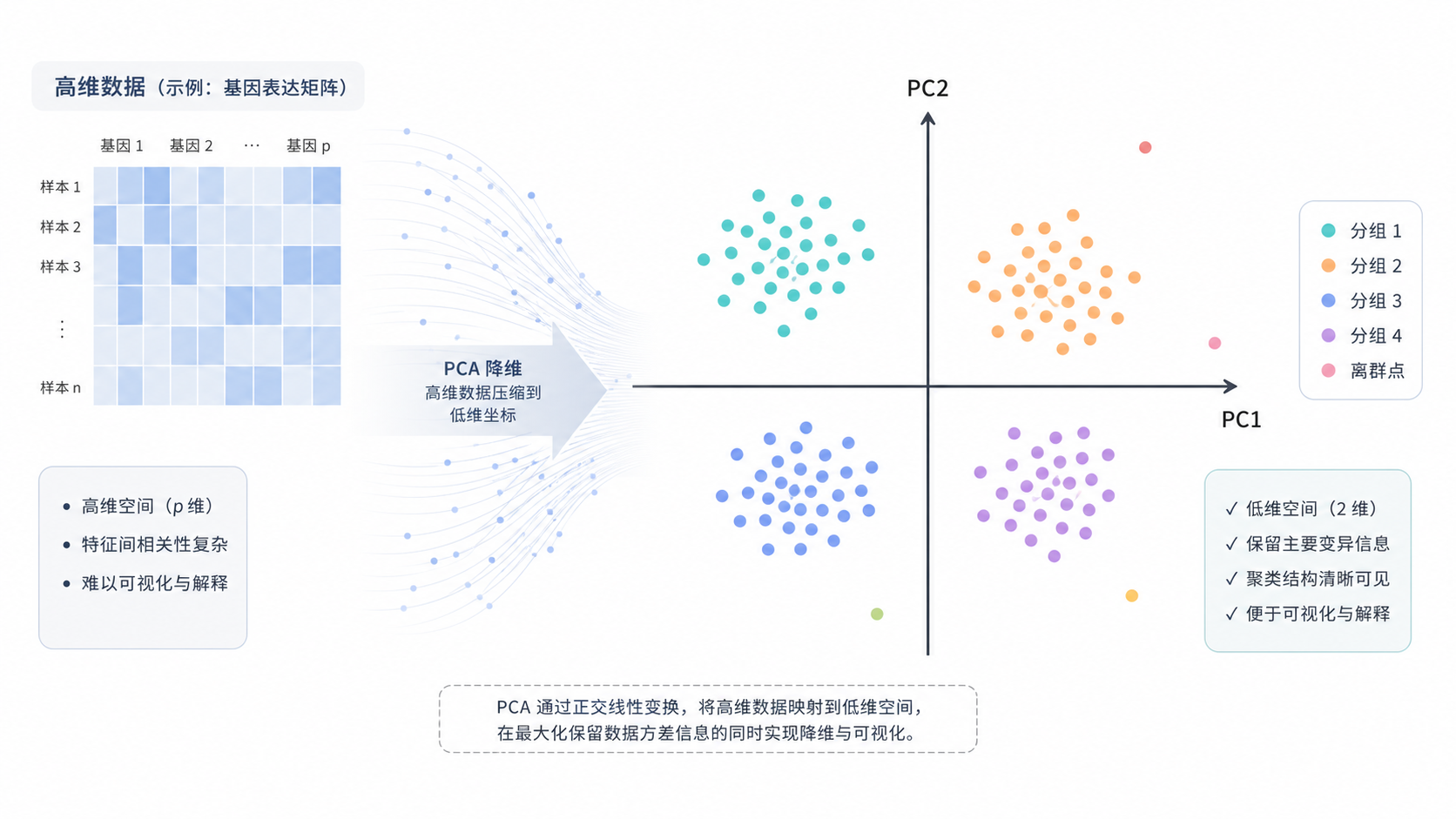 PCA二维散点图示意，显示不同分组样本在PC1和PC2上的聚类分布，背景为高维数据压缩到低维坐标的概念图