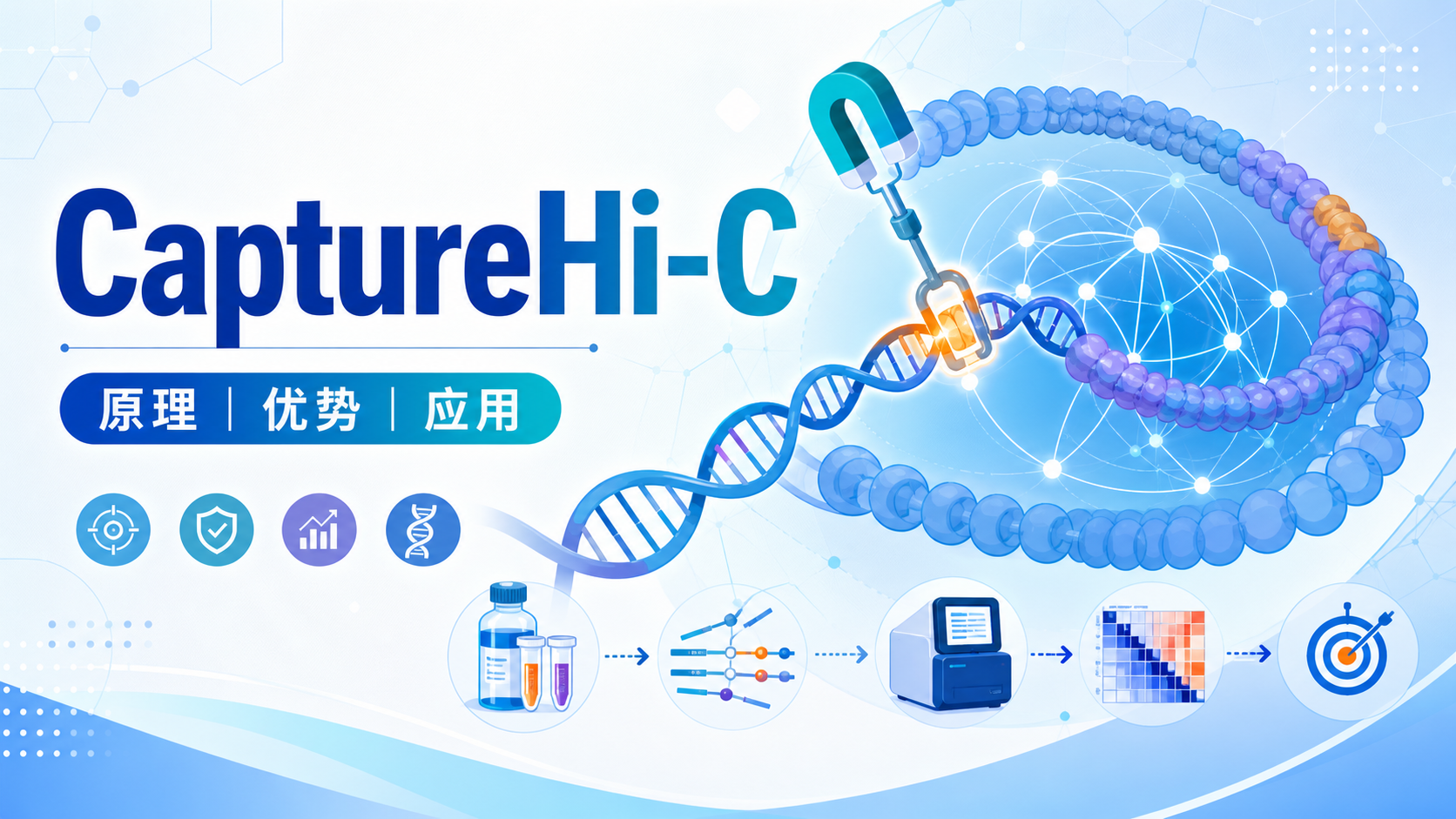 CaptureHi-C技术解析:染色质构象捕获新突破