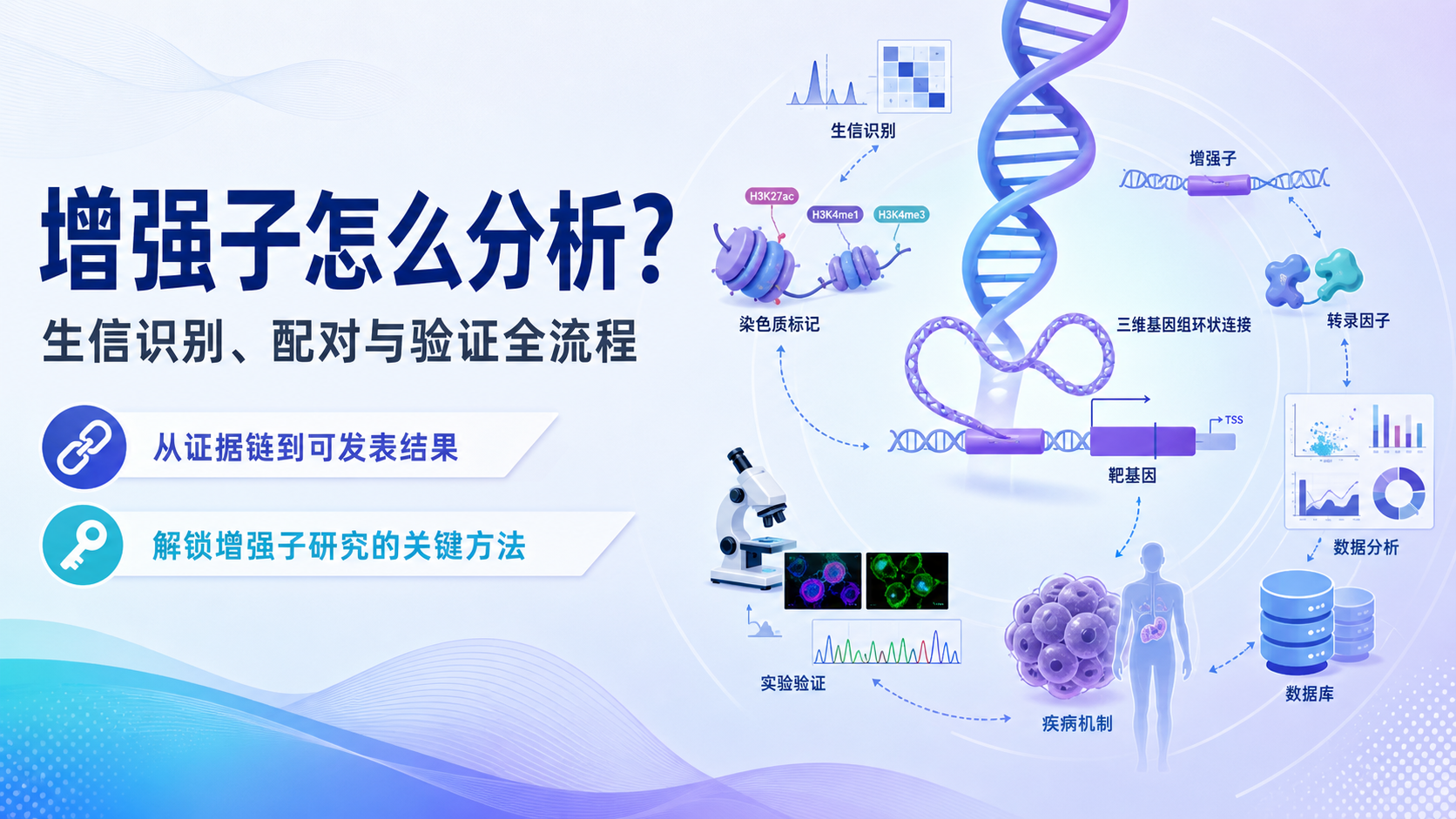 增强子与生物信息学结合:全景解析非编码调控密码