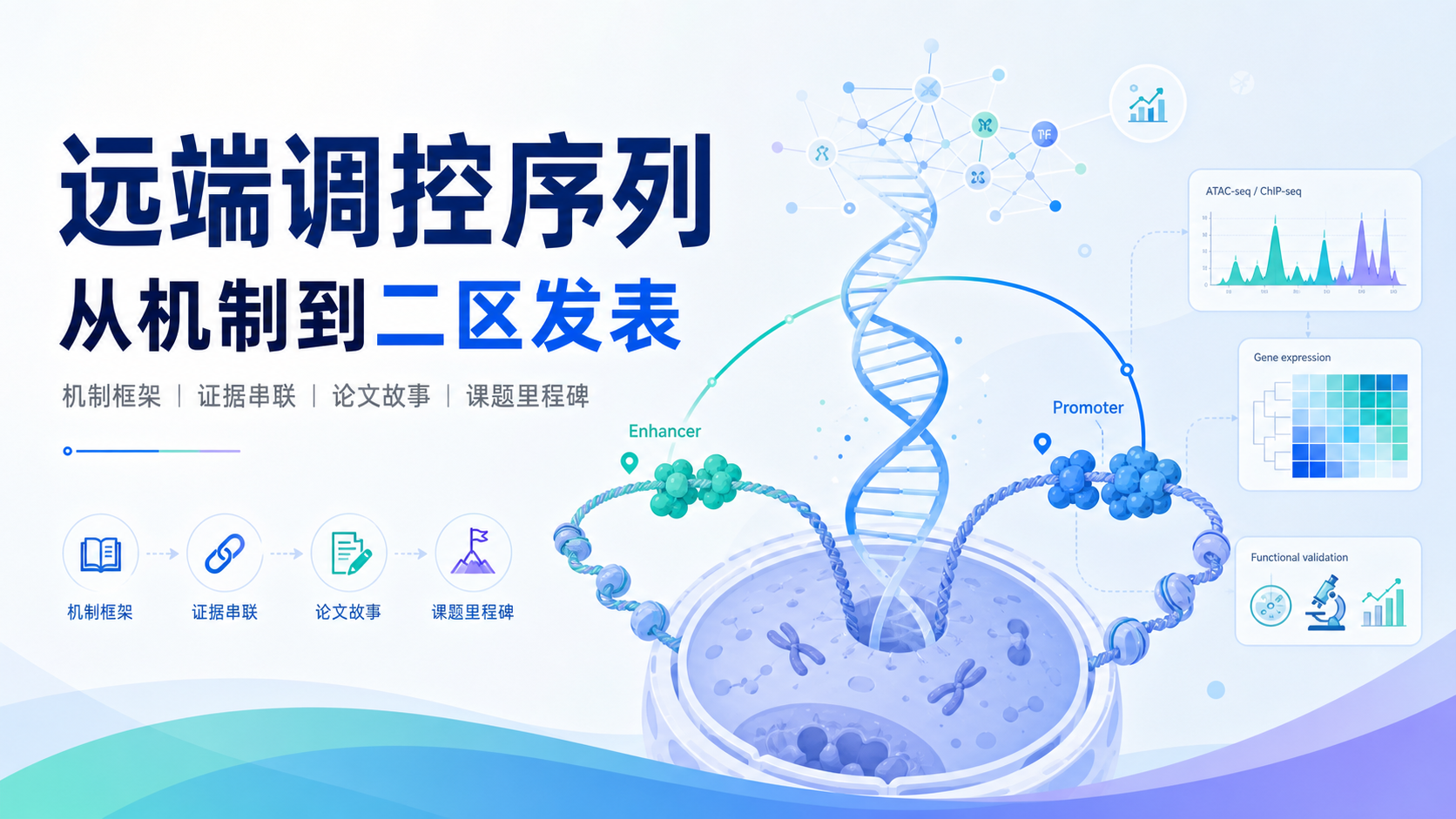 掌握远端调控序列,冲击中科院二区
