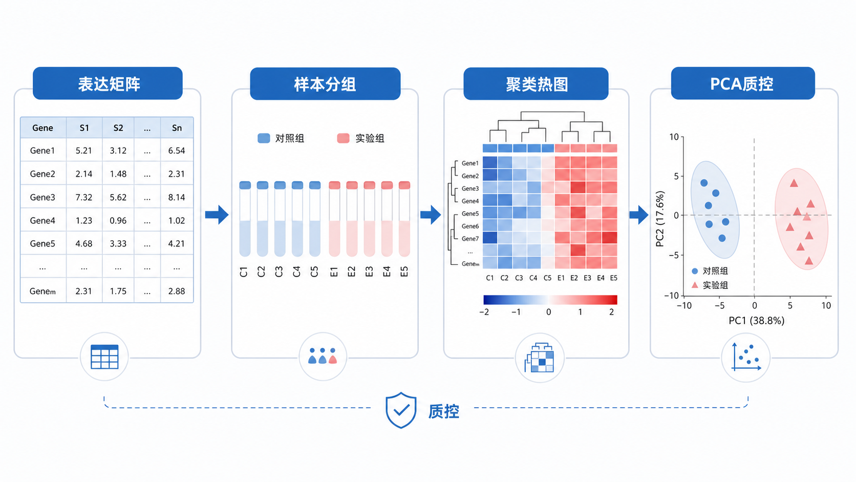 生物信息学数据分析流程图,突出表达矩阵、样本分组、聚类热图和PCA质控模块