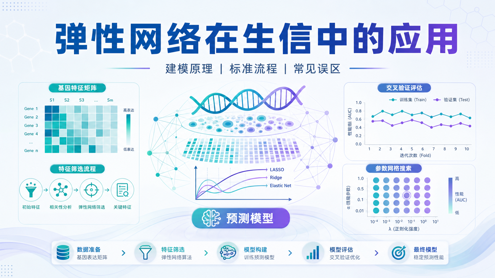 弹性网络建模:生信数据分析的高阶工具