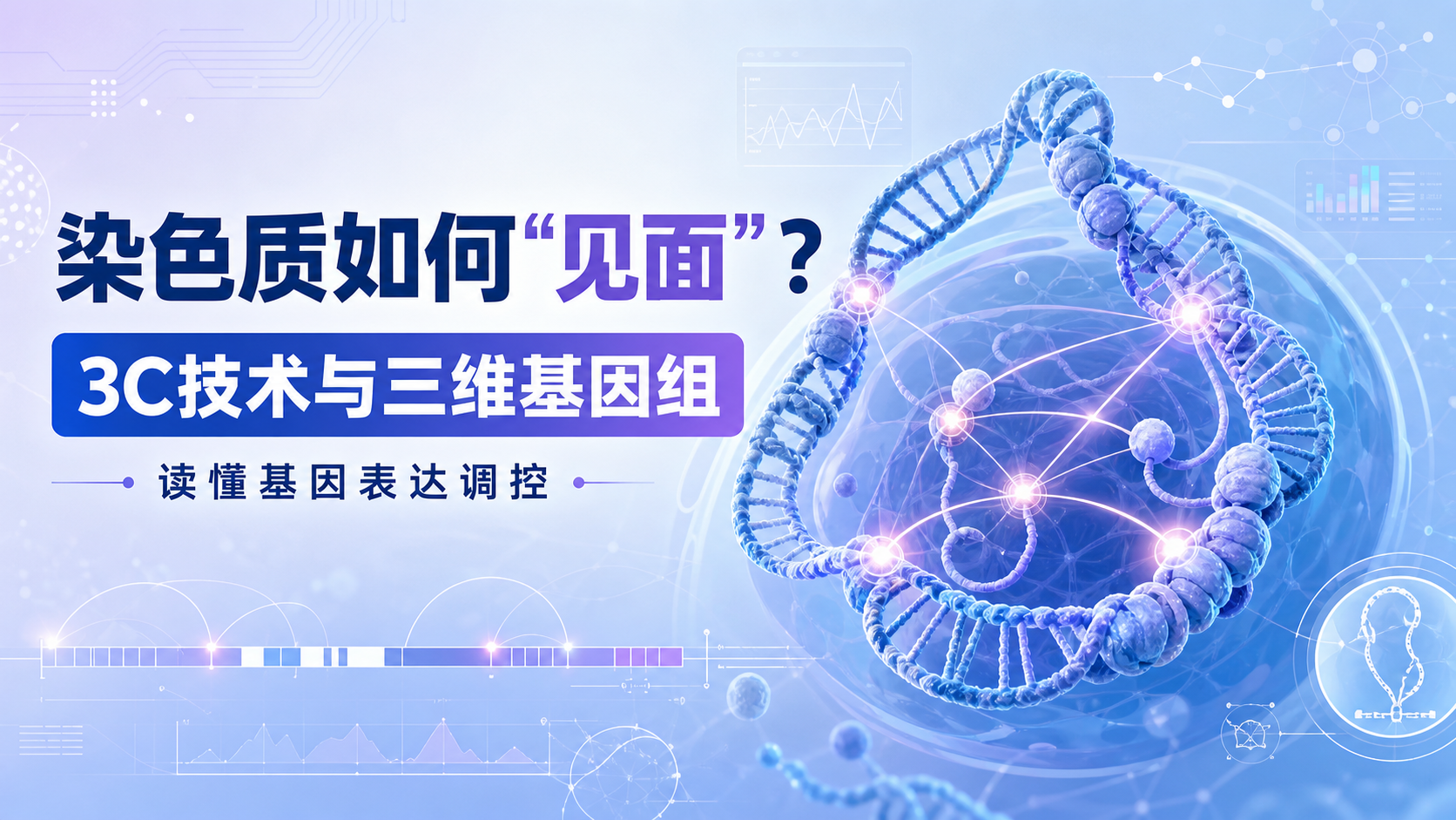 染色质相互作用:细胞内最“暧昧”的折叠大戏