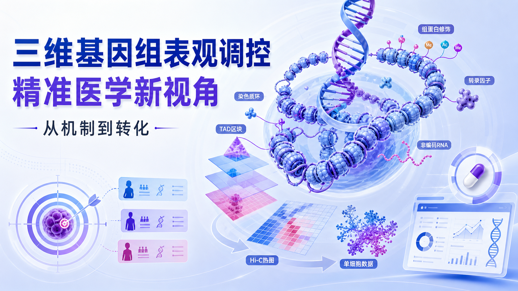 三维基因组表观调控:开启精准医学之门