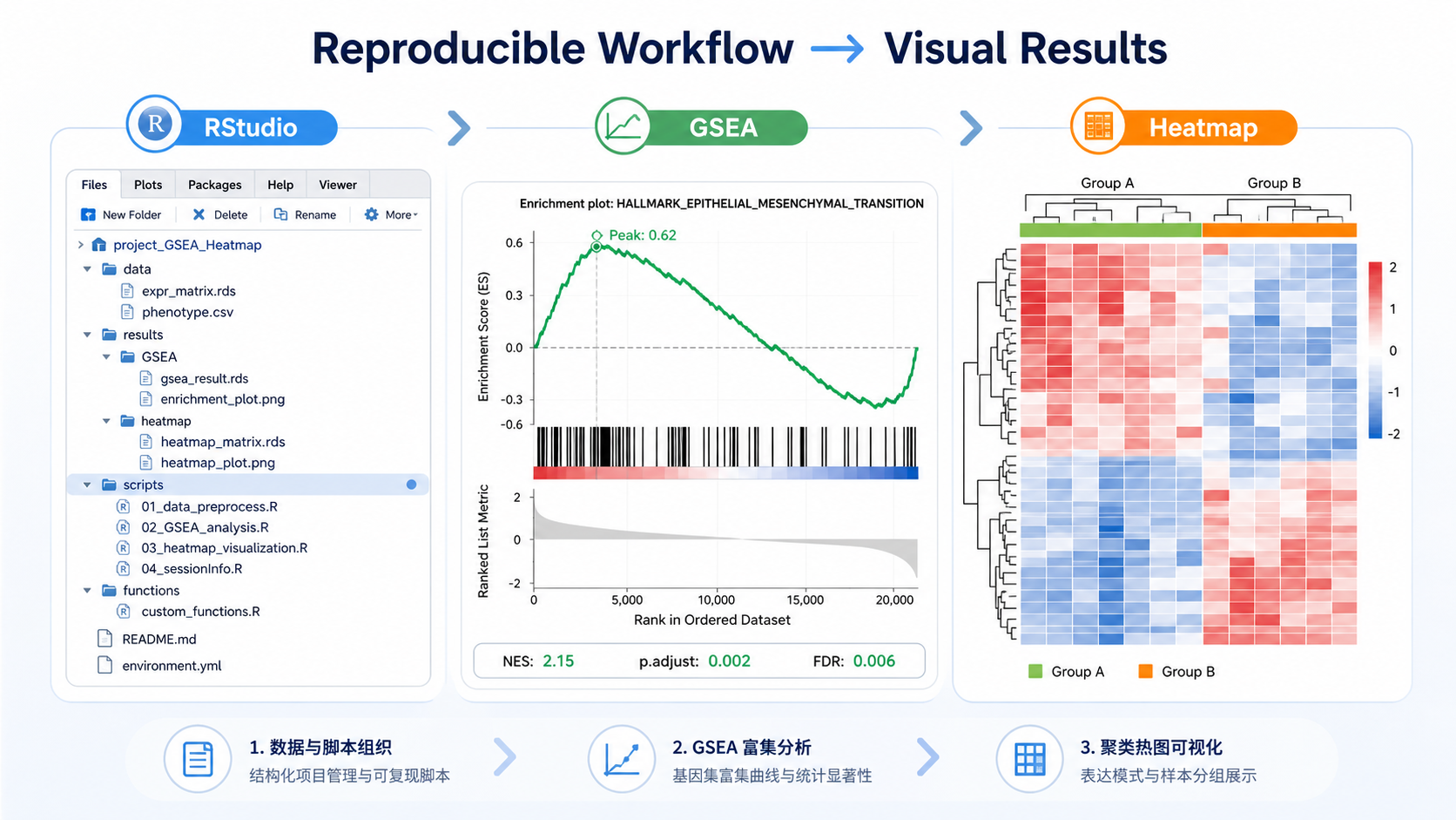 RStudio项目文件、GSEA富集曲线、聚类热图三联图，突出“复现流程”和“可视化结果”