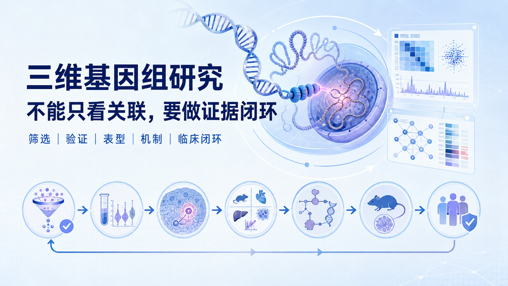 三维基因组在生物医学中的应用:五步法解析功能验证