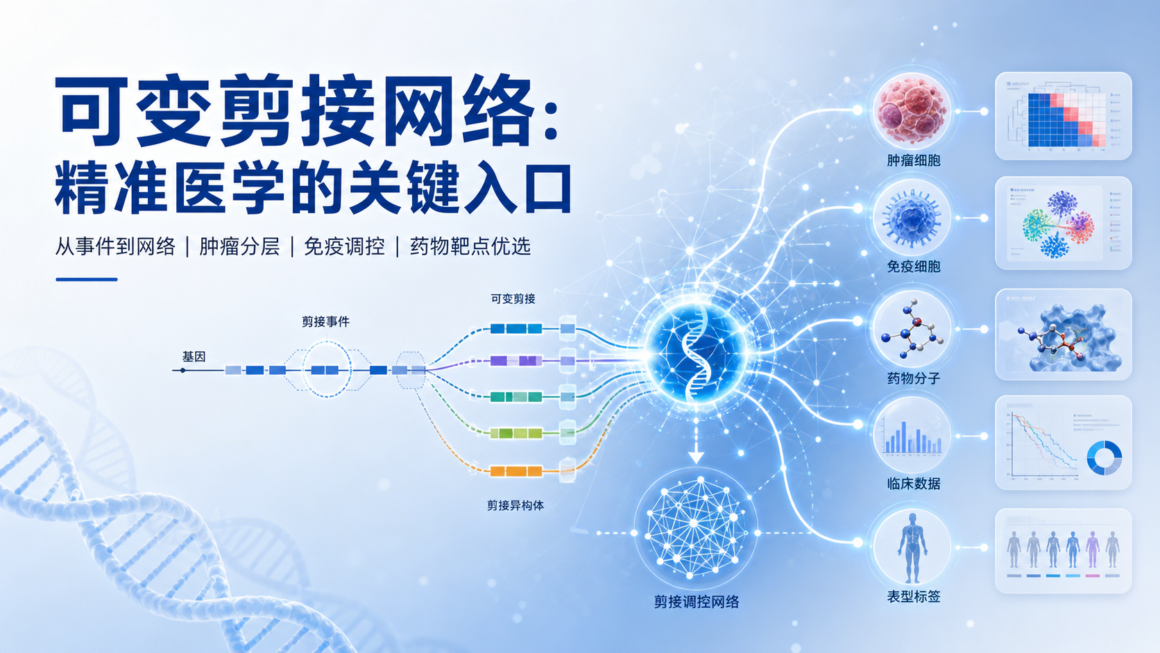 解码可变剪接调控网络:精准医学中的关键靶点
