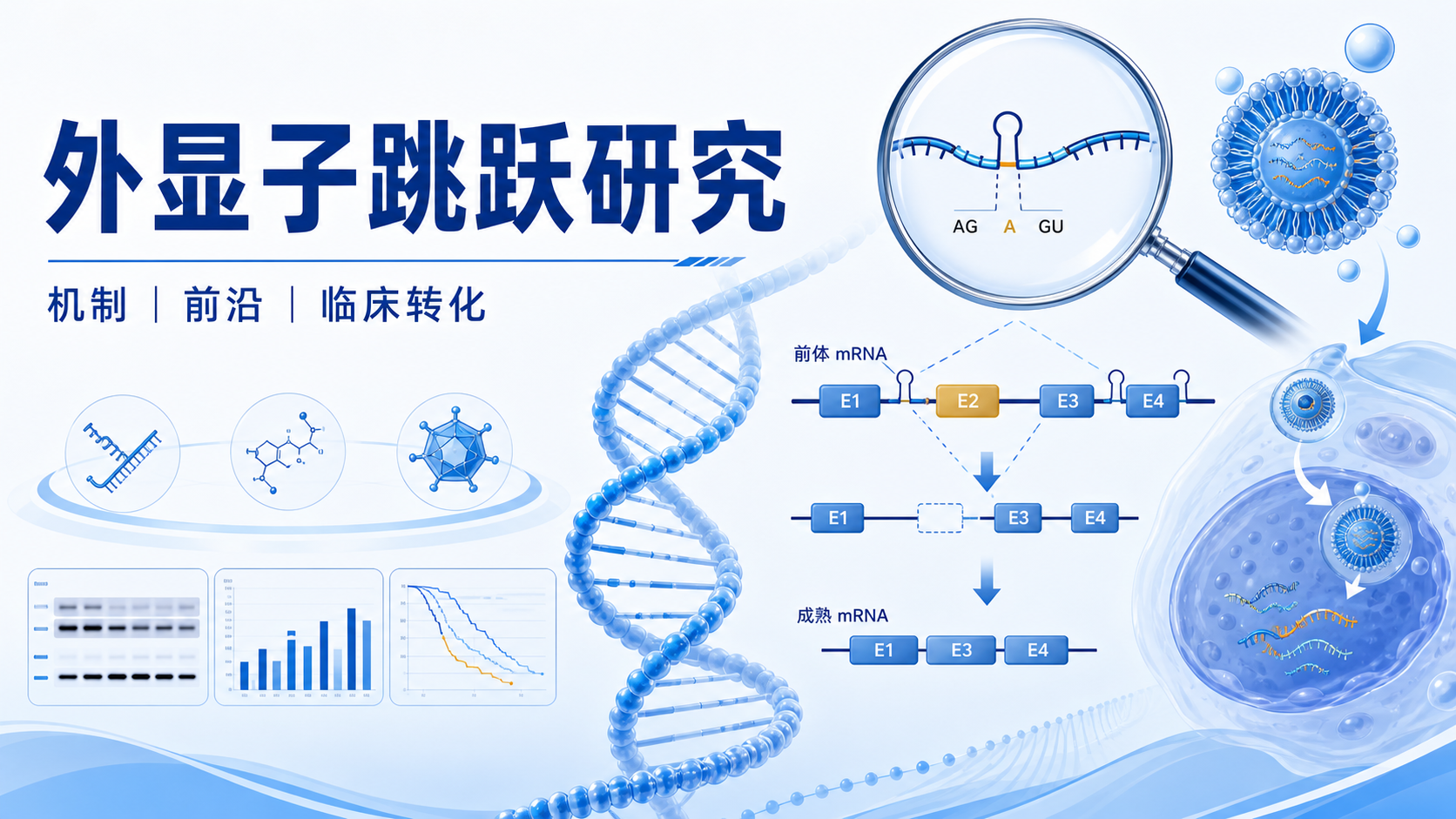 从机制到应用:外显子跳跃技术的科研前沿与临床转化