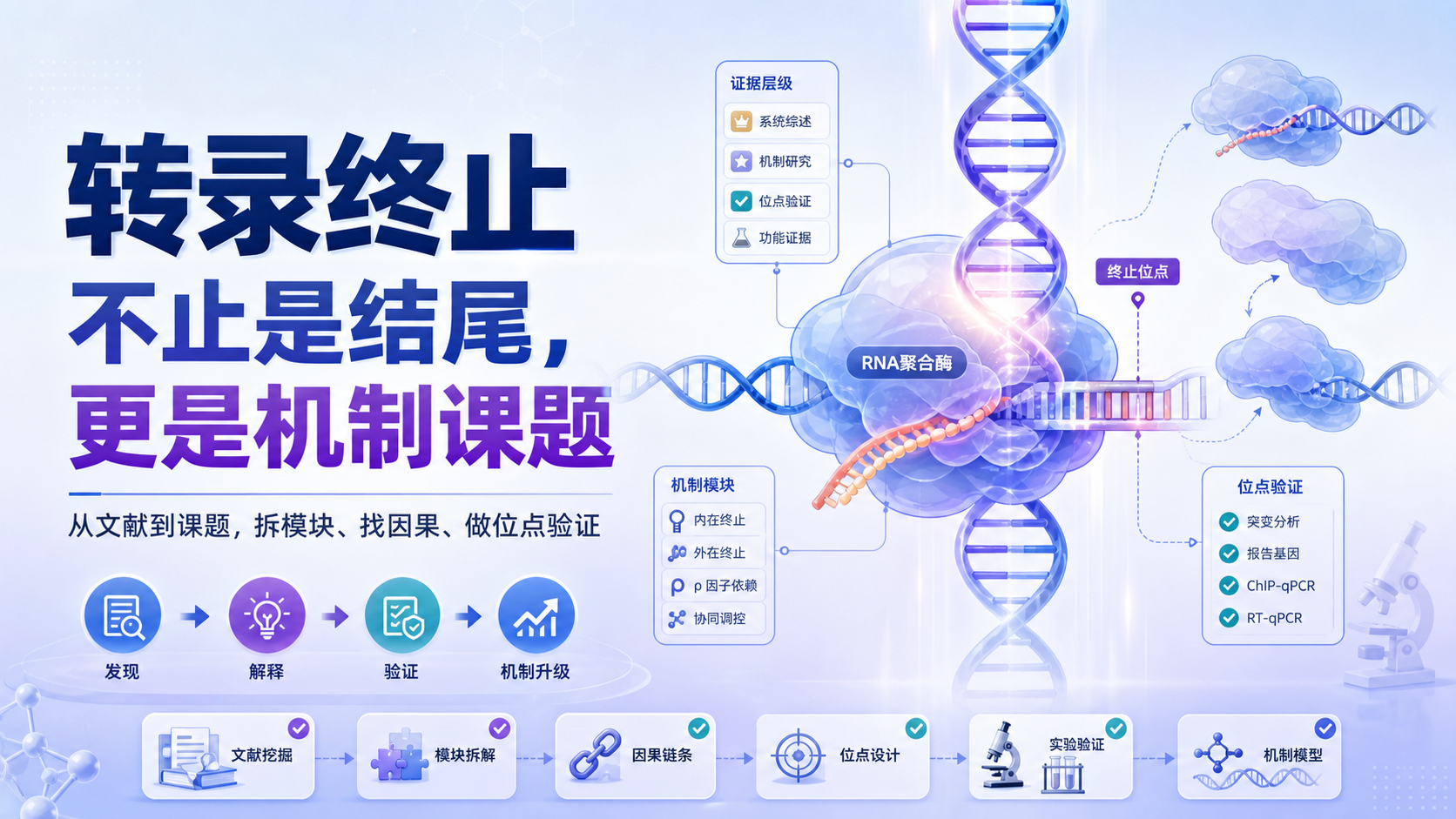 转录终止新机制:从读文献到课题设计的切入点