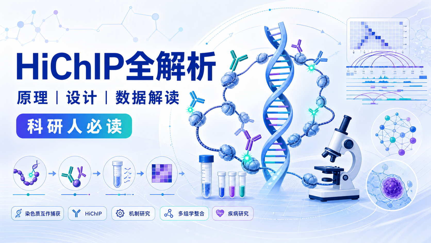 HiChIP技术全解析:从原理到高分文章应用