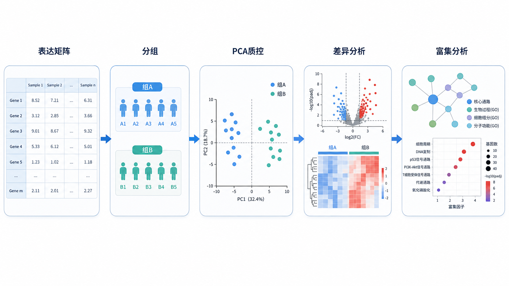 一张转录组分析流程图，突出表达矩阵、分组、PCA质控、差异分析和后续富集分析的串联关系，适合医学生和科研人员快速理解研究路径。