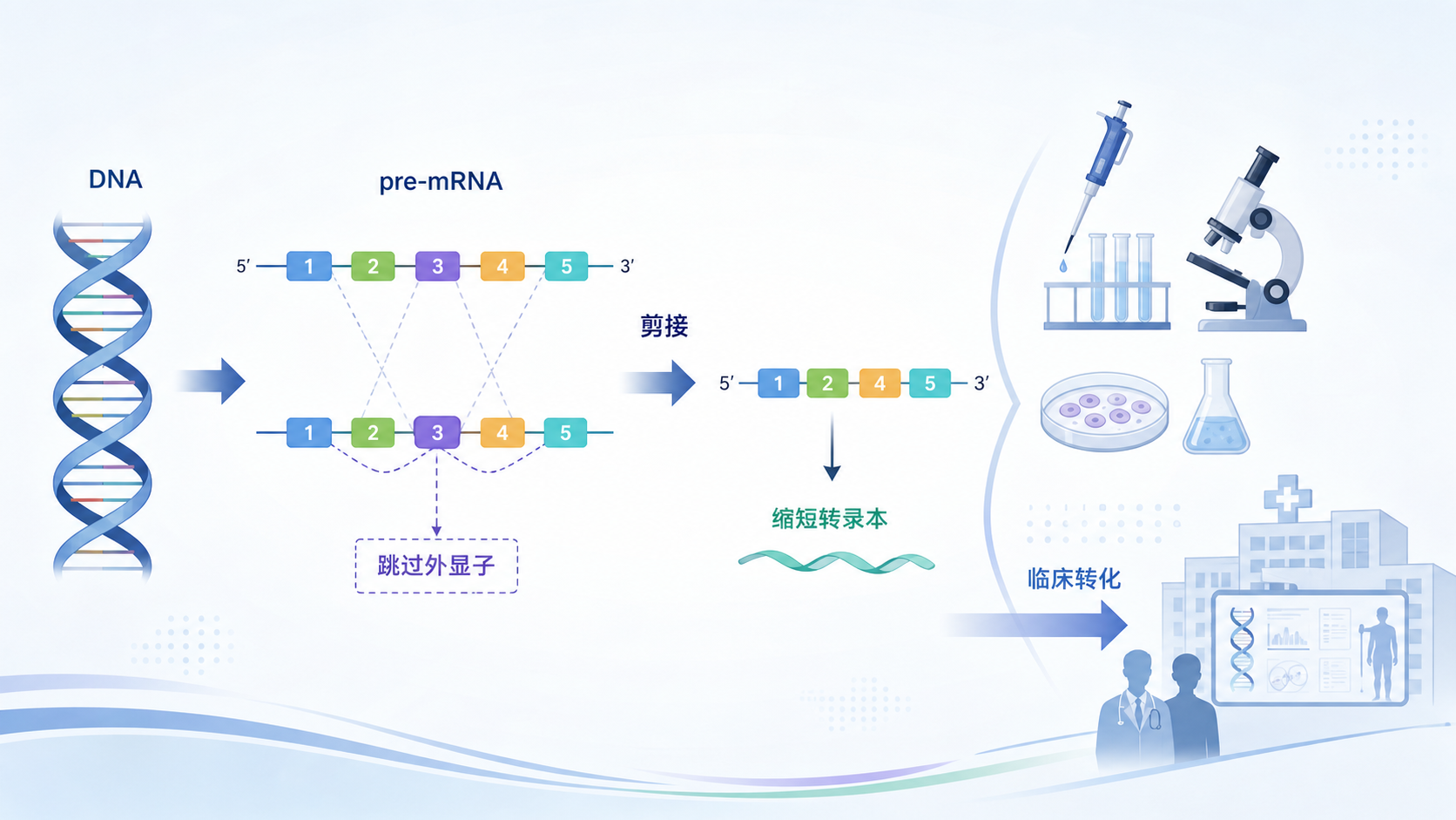 一张展示DNA、mRNA剪接、外显子被跳过后形成缩短转录本的科研示意图，背景包含实验室和临床转化元素