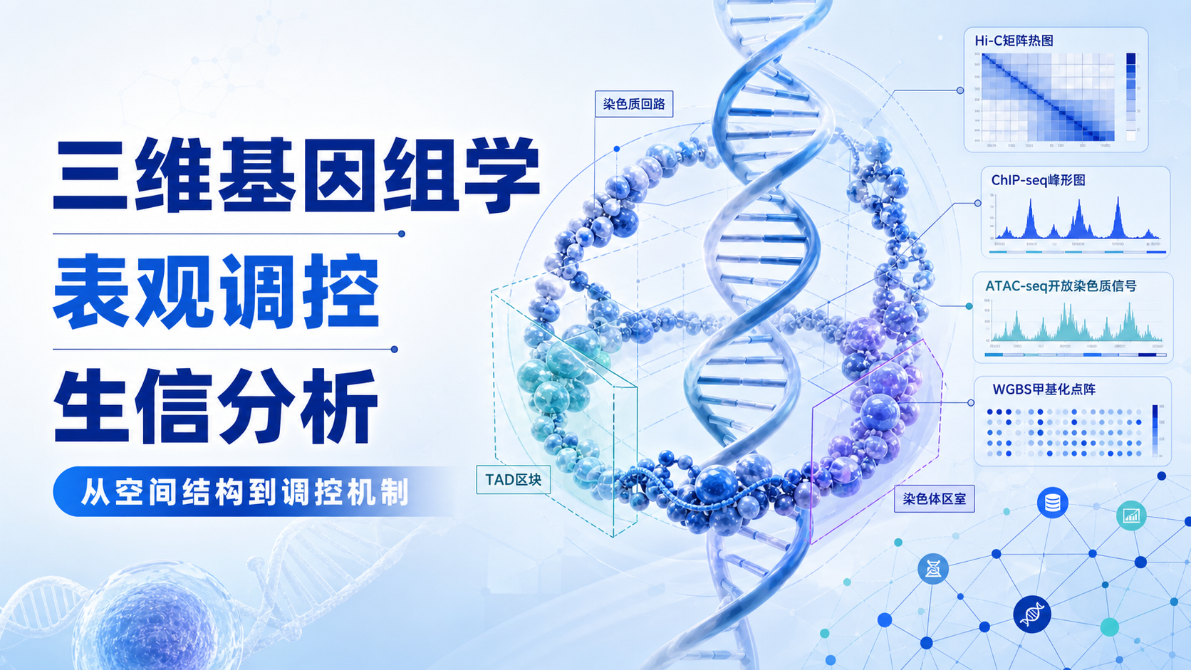 三维基因组学与表观调控的生信研究前沿