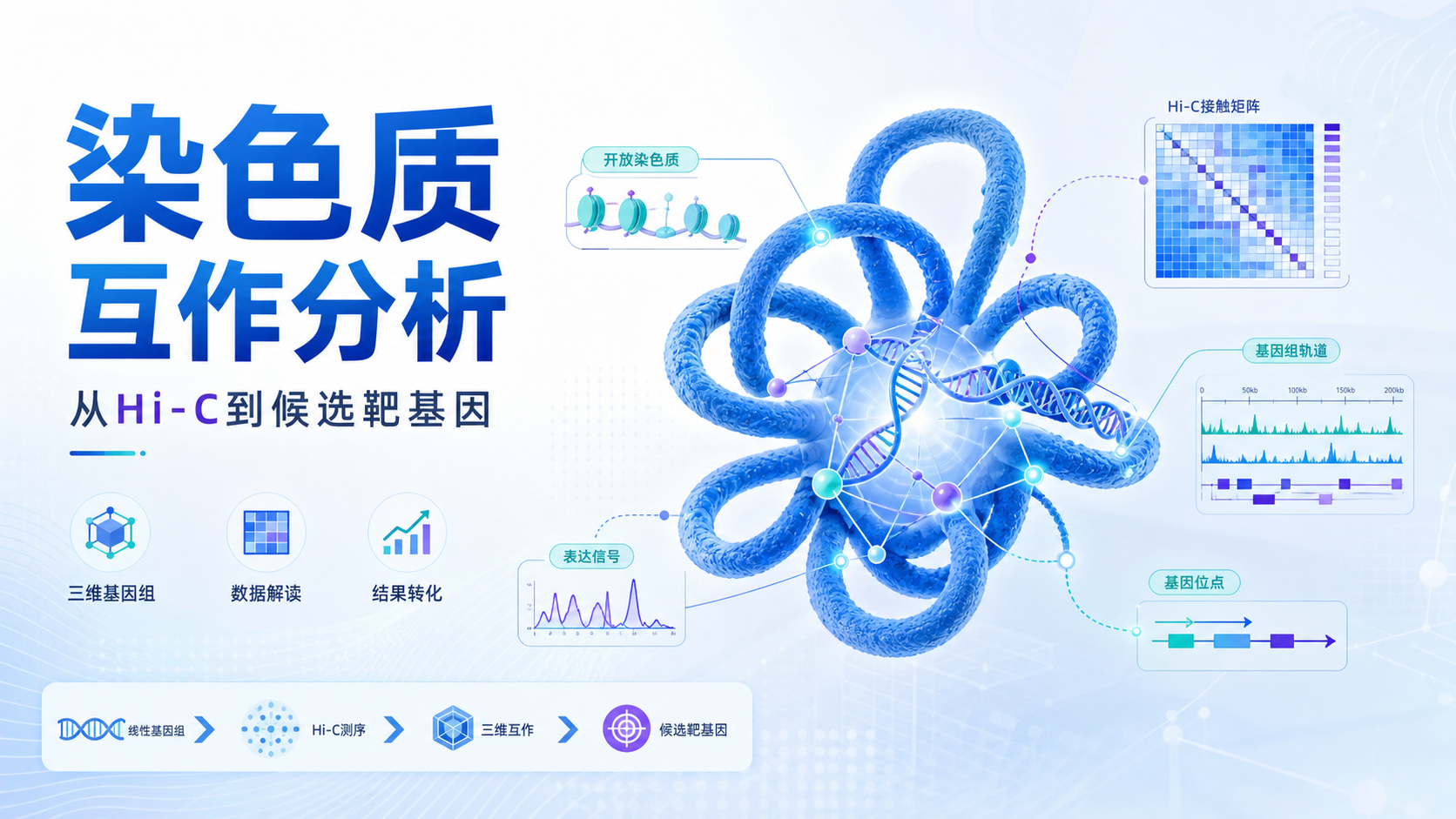 生信大佬都在用的染色质互作分析