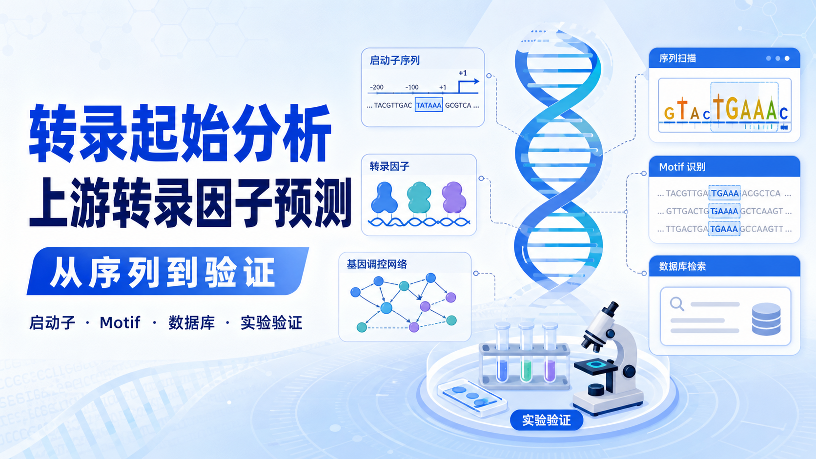 转录起始预测新工具:一键解析上游转录因子