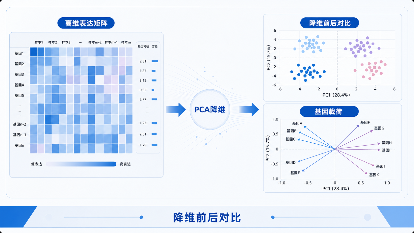 生信分析工作台界面,左侧是高维表达矩阵,右侧是PCA散点图和基因载荷示意图,突出“降维前后对比”