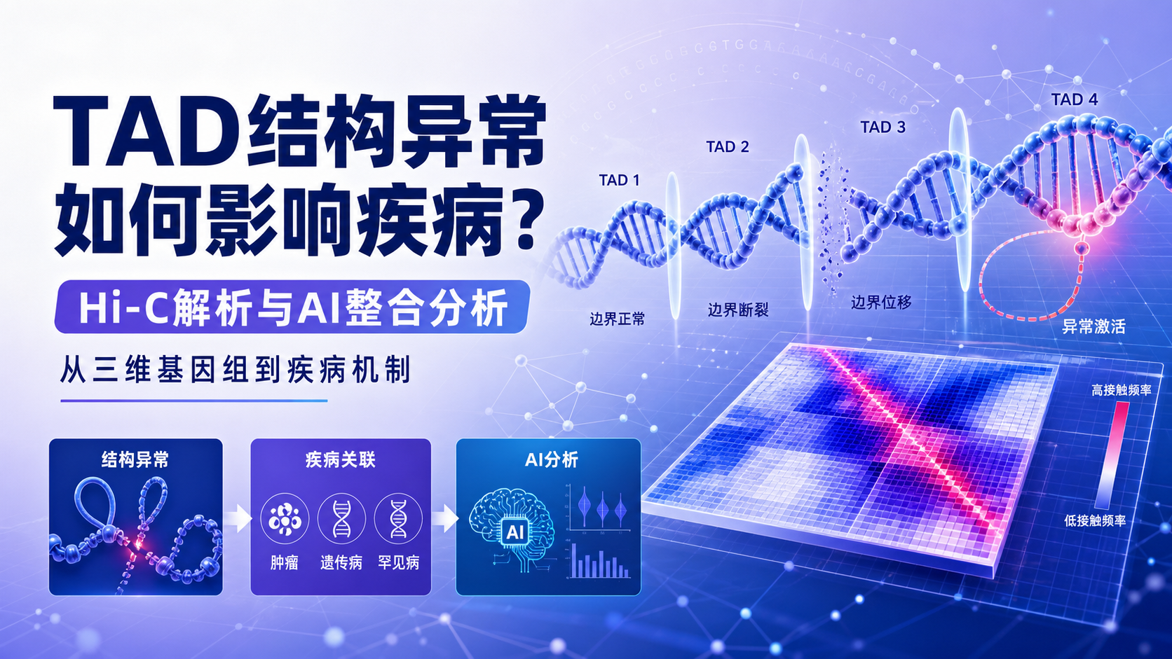 TAD异常与疾病关联:基于Hi-C数据的整合分析