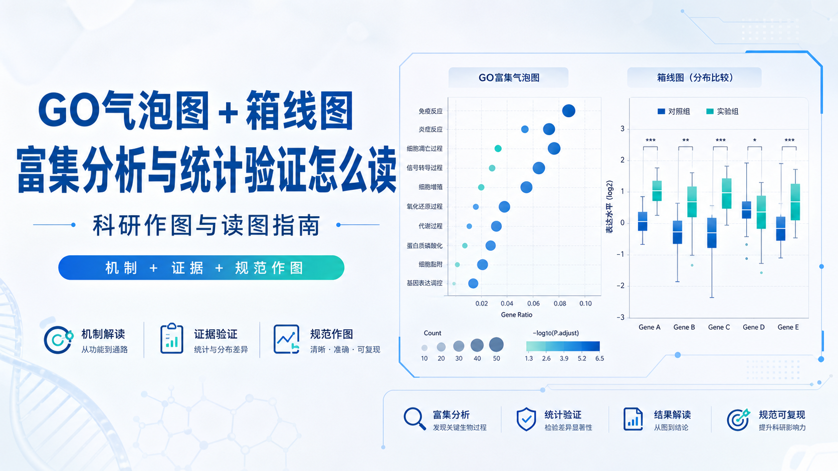 生信作图必读：GO气泡图与箱线图的核心解读技巧