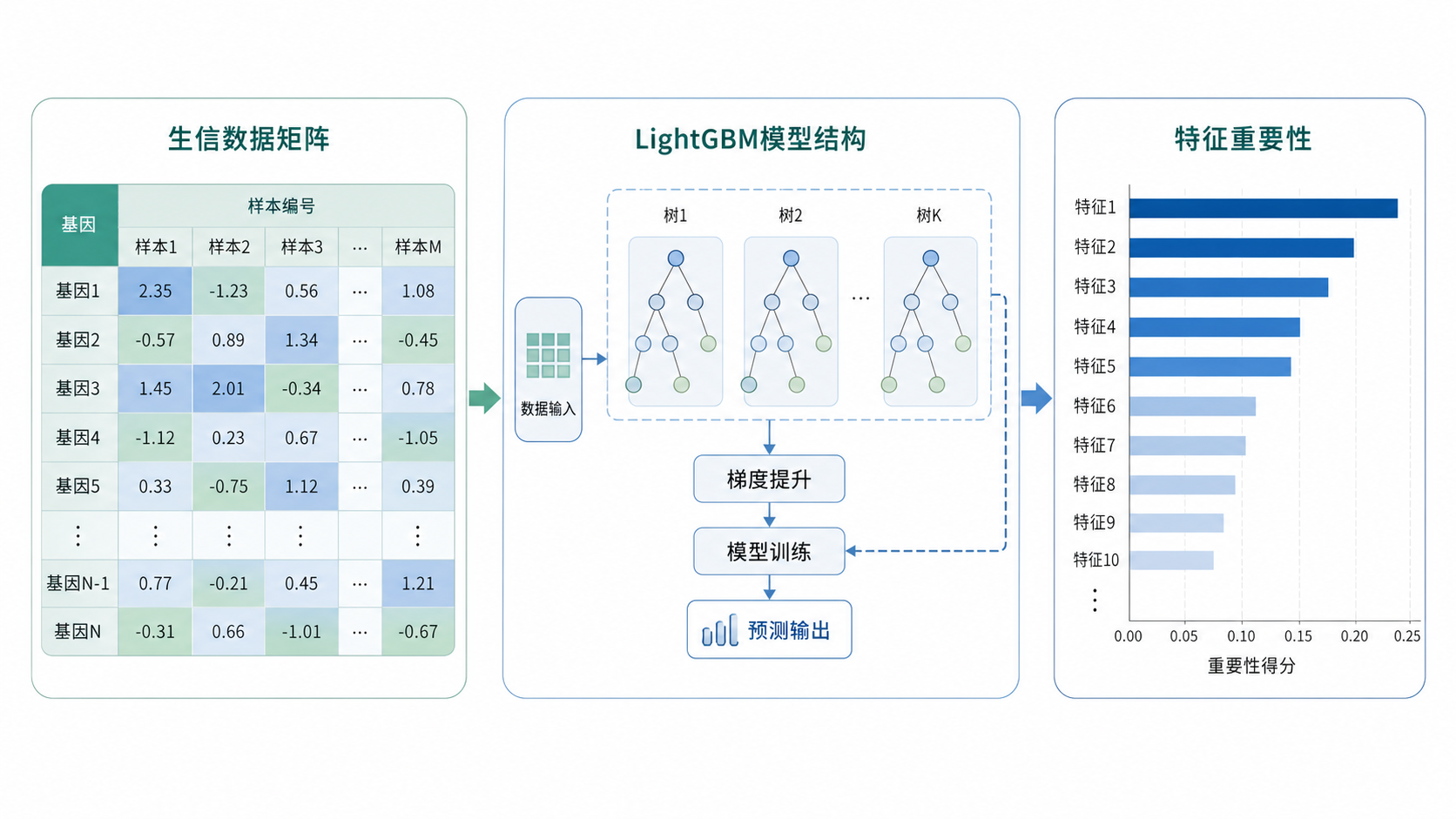 生信数据矩阵、LightGBM模型结构、特征重要性条形图的组合示意图