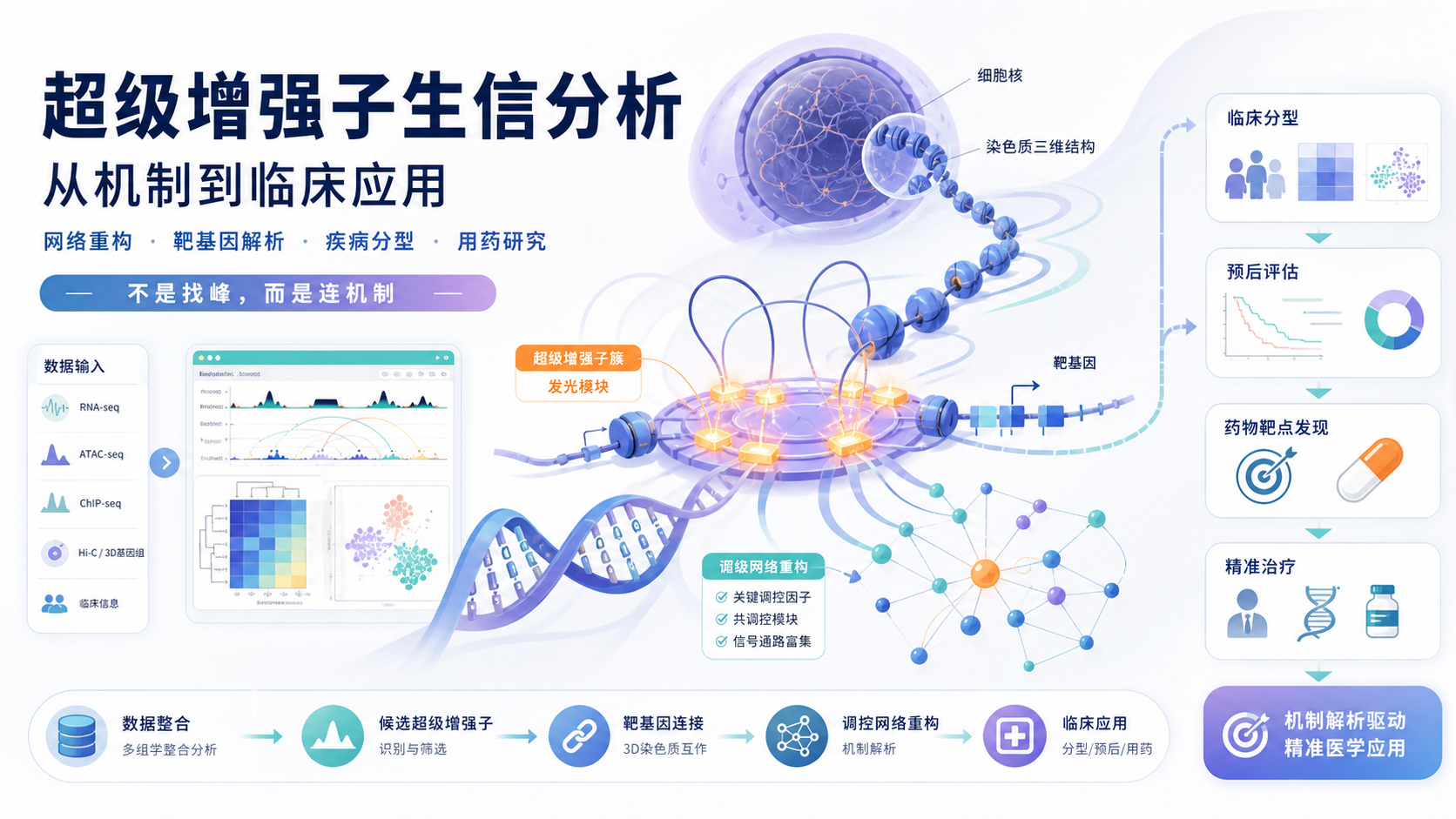 超级增强子生信解析：重构基因调控网络的临床应用
