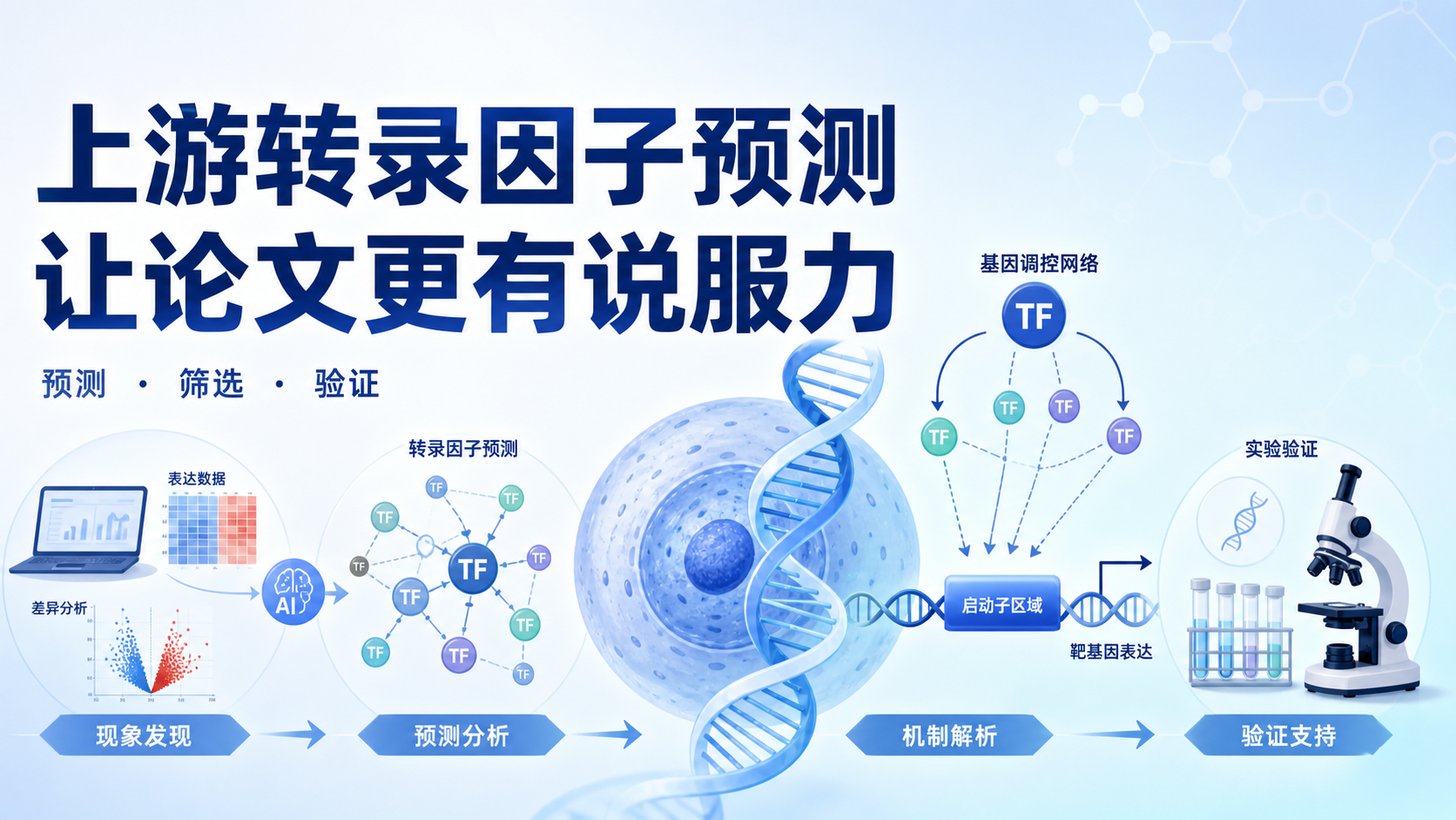 上游转录因子预测如何提升论文说服力