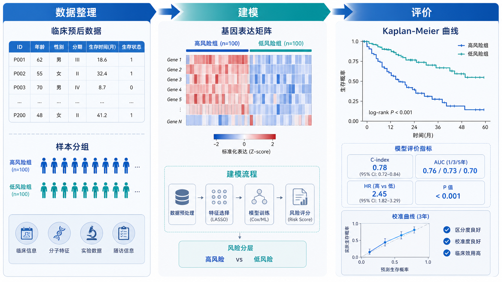 临床预后数据、基因表达矩阵和Kaplan-Meier曲线组合的信息图，突出“数据整理—建模—评价”的流程