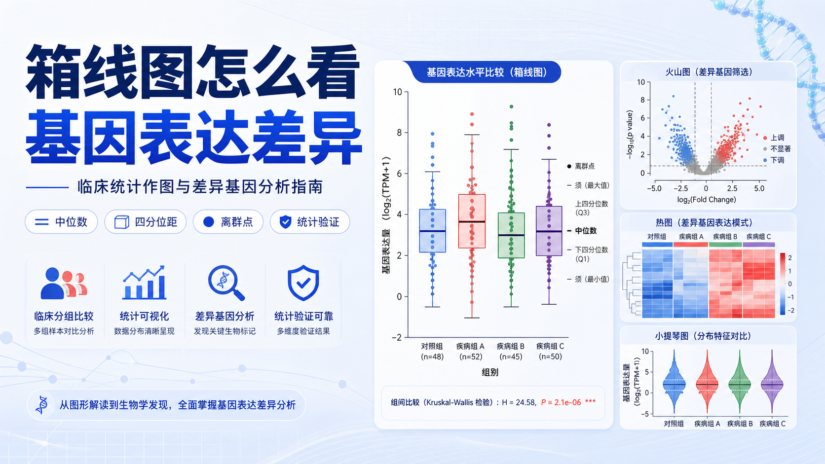 临床统计与作图:从箱线图洞察基因表达差异