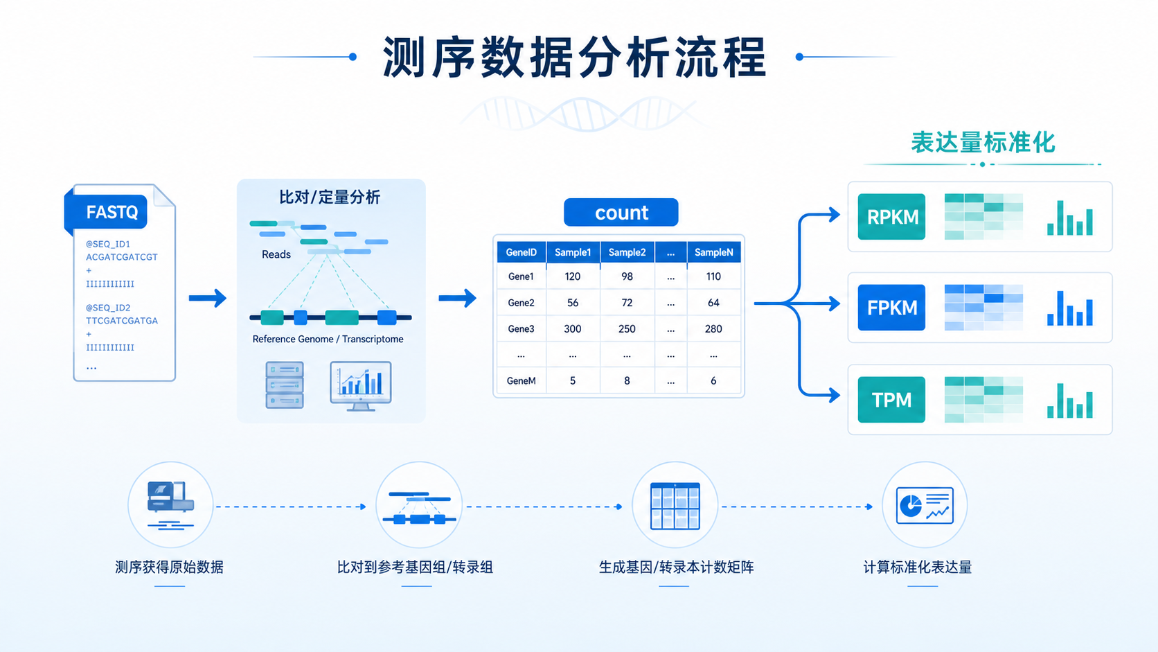转录组数据流程示意图，展示FASTQ到count、RPKM、FPKM、TPM的转换路径，突出“测序深度校正”和“基因长度校正”两个环节。