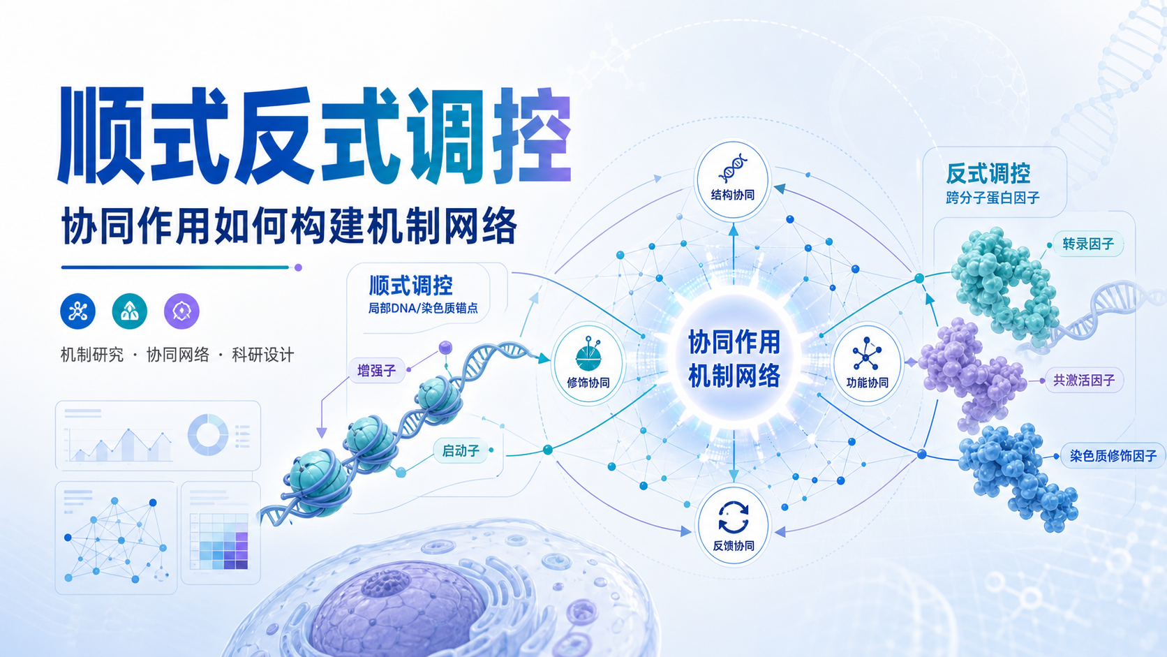 协同作用驱动顺式反式调控网络研究新思路