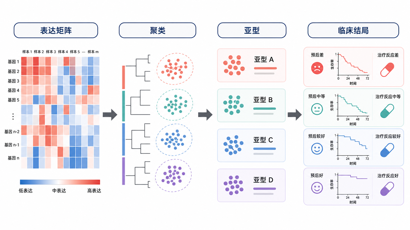 分子分型流程示意图，展示表达矩阵、聚类、亚型、临床结局之间的关系