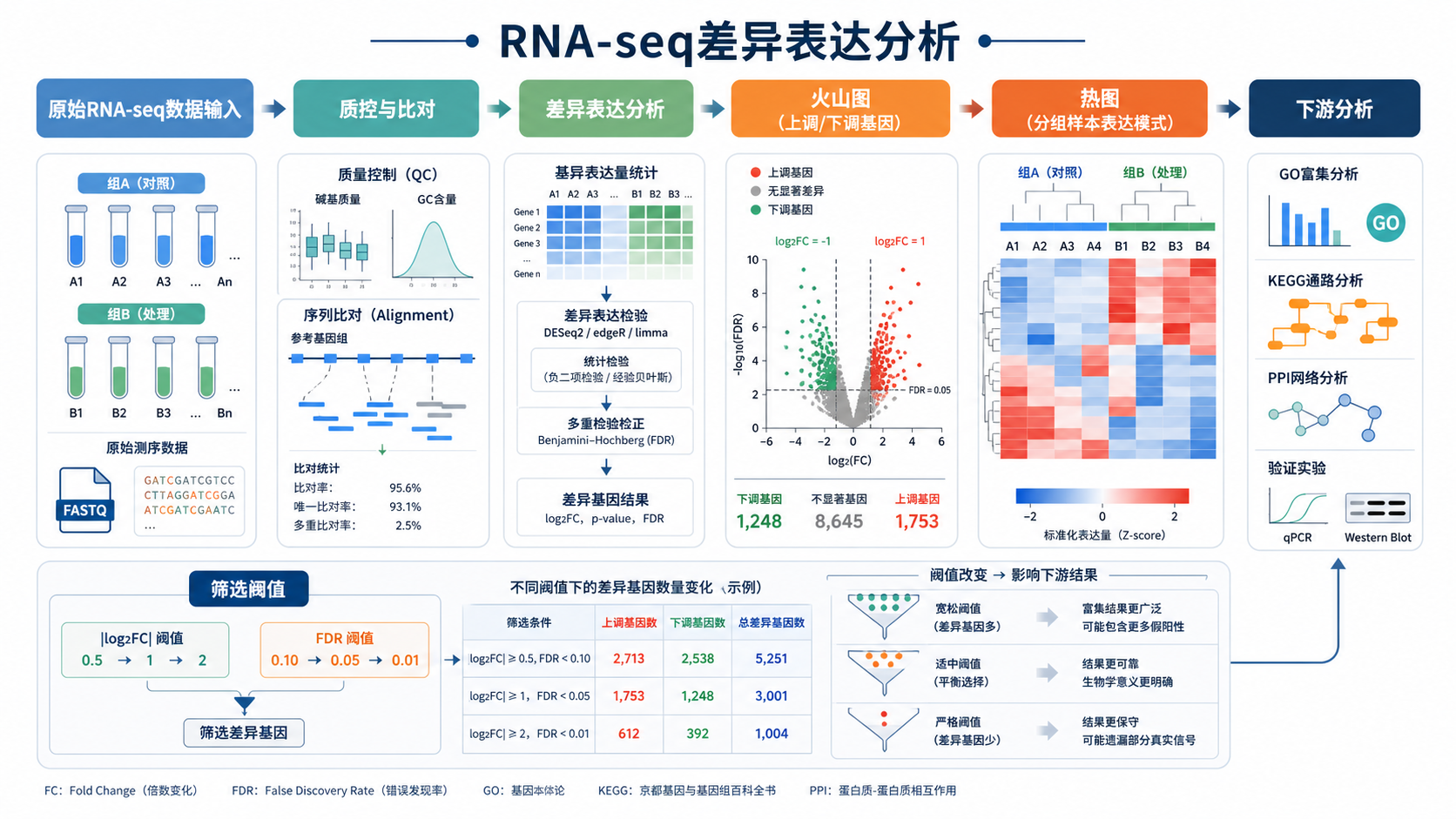 RNA-seq差异表达分析流程示意图,包含火山图、热图和后续分析节点,强调“筛选阈值影响下游结果”
