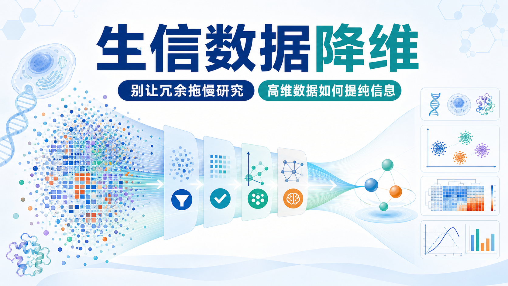 生信文章的灵魂：数据降维与算法选择精讲